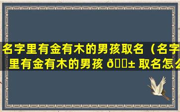 名字里有金有木的男孩取名（名字里有金有木的男孩 🐱 取名怎么样）